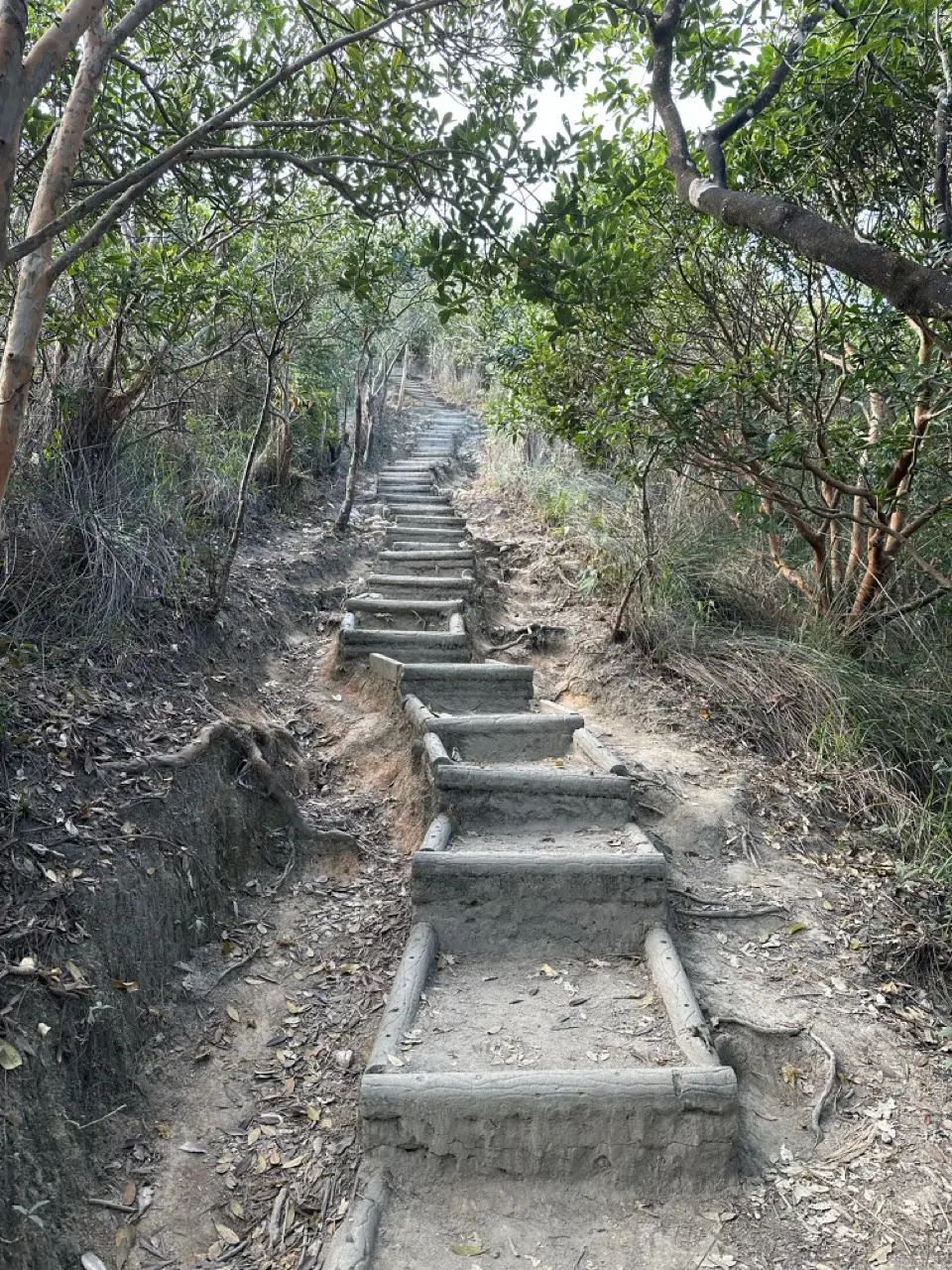 trail