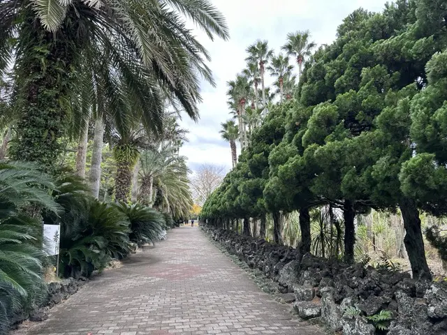 trees