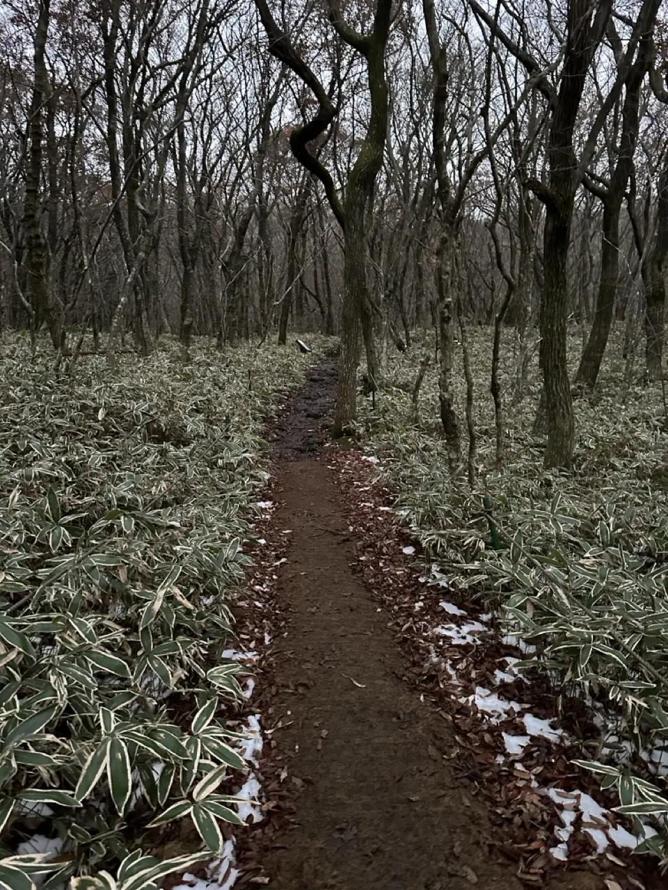 ground2